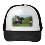Training Pegasus Trucker Hat