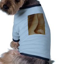 Trampled Under Foot pet clothing