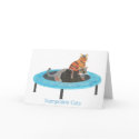 Trampoline Cats 2, Trampoline Cats cards