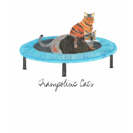 Trampoline Cats 2 shirt
