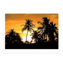 Trancoso Bahia Praia dos Coqueiros Cartao Postal