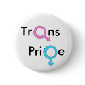 Trangender/Transexual Pride buttons
