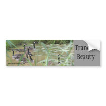 Tranquil Beauty Affirmations Nature Bumper Sticker