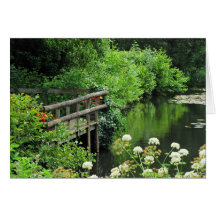 Tranquil Cards