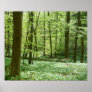 tranquil forest poster