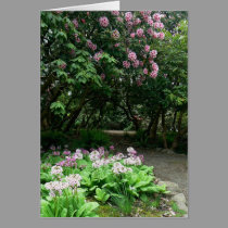 Tranquil Path cards