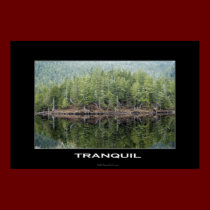 TRANQUIL Photo Poster posters