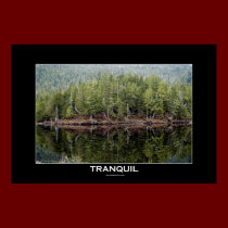 TRANQUIL Photo Poster (Big Version) posters