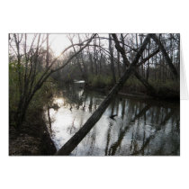 Tranquil Stream cards by KELLBELL535 Tranquil Stream cards