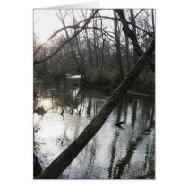 Tranquil Stream cards by KELLBELL535 Tranquil Stream cards