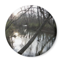 Tranquil Stream magnets by KELLBELL535 Tranquil Stream magnets