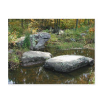 Tranquil Stream - Postcard #1