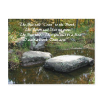 Tranquil Stream - Postcard #2