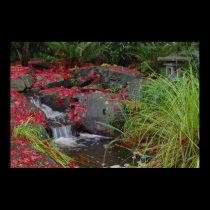 Tranquil stream posters