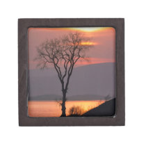 Tranquil Tree in Quebec premium gift boxes