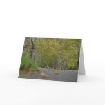 Tranquil Trees Greeting Card