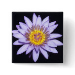 Tranquility Button