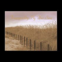 Tranquility By The Sea postcards