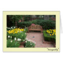 tranquility cards by beautyexposed tranquility cards