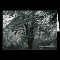 Tranquility cards