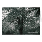  - Multi use everyday notecard.  Photography by Patrice Vandehey 2006.  Fully Customizable: Sizes 