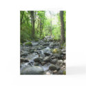 tranquility cards by imwest tranquility cards