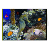 Tranquility Down Under Card by deesbasenjis Tranquility Down Under Card