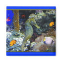 Tranquility Down Under Magnet by deesbasenjis Tranquility Down Under Magnet