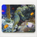 Tranquility Down Under Mousepad