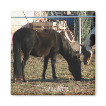 Tranquility magnets