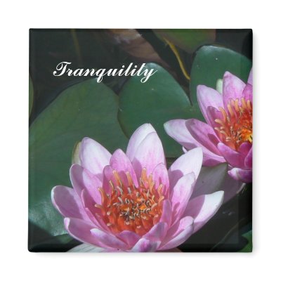 Tranquility Magnet by codfishlady