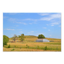 Tranquility Photographic Print