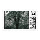  - Be sure to check out our matching notecards!: Sizes 