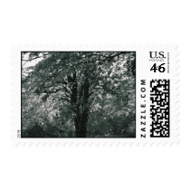 Tranquility Postage