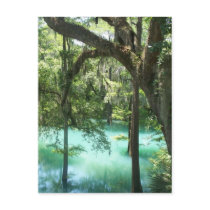 Tranquility Postcard
