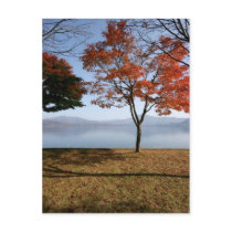 Tranquility postcards by niteangel Tranquility postcards