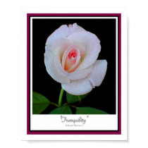 Tranquility posters