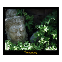 Tranquility posters