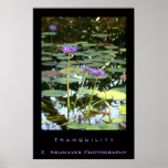 Tranquility Poster