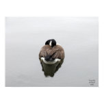 Tranquility posters