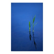 Tranquility posters