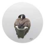 Tranquility stickers