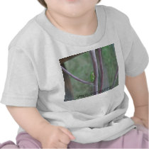 Tranquility T-Shirt t-shirts