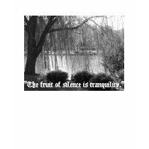 Tranquility t-shirts