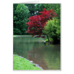 Tranquillity Greeting Cards
