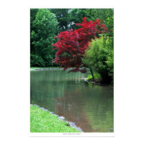 Tranquillity posters by WiscMeBrit Tranquillity posters