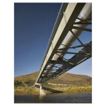 Trans Alaska oil pipeline crossing South fork Koyu Flyer Design
