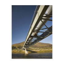Trans Alaska oil pipeline crossing South fork Koyu Postcard