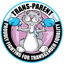 Trans-Parent Cat Fighter Photo Sculpture