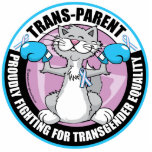 Trans-Parent Cat Fighter Photo Sculpture